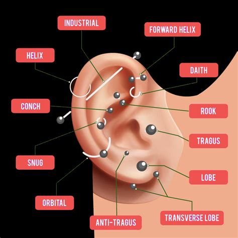 101 piercing|getting your ears pierced.